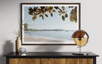 Load image into Gallery viewer, 'Mosman Mornings'
